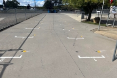 Starting Grid